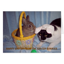 TARJETA DE PASCUA DIVERTIDA