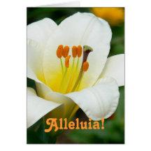 TARJETA DE PASCUA, FOTO FLORAL BLANCA DE LA "ALELU
