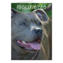 tarjeta de Pitbull del día de madre del 母の日おめでとう