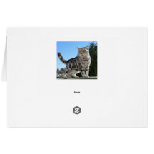Tarjeta de plata del gato de tabby