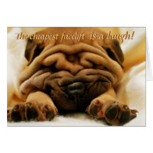 Tarjeta de Shar-pei de la cirugía estética