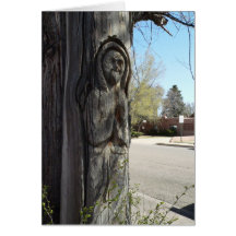 Tarjeta de St Francis