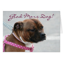 Tarjeta de Staffordshire bull terrier de la madre 