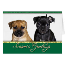 Tarjeta de Staffordshire bull terrier de los salud