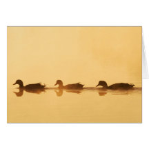 Tarjeta de tres patos (espacio en blanco)