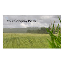 Tarjeta de visita agrícola del maíz