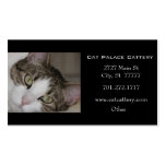 Tarjeta de visita blanca del gato de Tabby