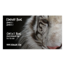 Tarjeta de visita blanca del tigre