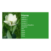 Tarjeta de visita blanca del tulipán