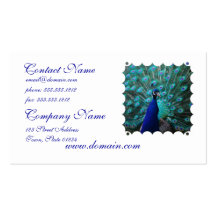 Tarjeta de visita bonita del pavo real