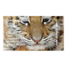 Tarjeta de visita de Cub de tigre
