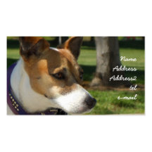 Tarjeta de visita de Jack Russell Terrier