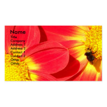 Tarjeta de visita de la abeja ocupada
