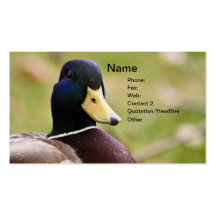 Tarjeta de visita de la caza del pato