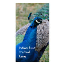 Tarjeta de visita de la granja del pavo real