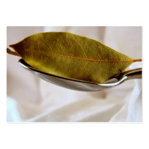 Tarjeta de visita de la hoja de laurel