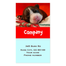 Tarjeta de visita de la lavadora del perro