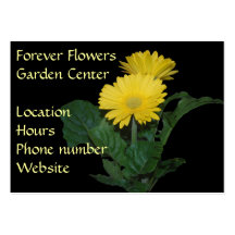Tarjeta de visita de la margarita del Gerbera