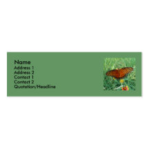 Tarjeta de visita de la mariposa