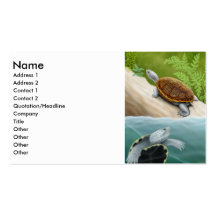Tarjeta de visita de la tortuga acuática de Diamon