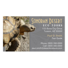 Tarjeta de visita de la tortuga/de la tortuga