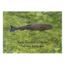 Tarjeta de visita de los pescados del río