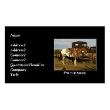 Tarjeta de visita de motivación del Appaloosa
