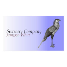 Tarjeta de visita de secretaria pájaro