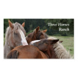Tarjeta de visita de tres caballos