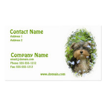 Tarjeta de visita de York Terrier