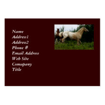 Tarjeta de visita del caballo del Appaloosa