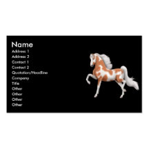 Tarjeta de visita del caballo del Pinto de Saddleb