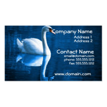 Tarjeta de visita del cisne mudo