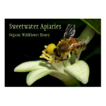 Tarjeta de visita del colmenar de la abeja de la m