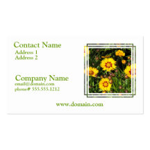 Tarjeta de visita del Coreopsis del sol naciente