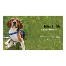 Tarjeta de visita del diseño del perro del beagle