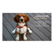 Tarjeta de visita del diseño del perro del beagle