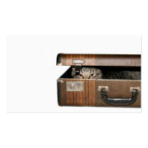 Tarjeta de visita del gato que viaja