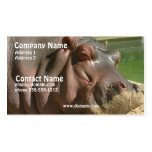 Tarjeta de visita del Hippopotamus