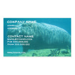 Tarjeta de visita del Hippopotamus