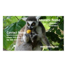 Tarjeta de visita del Lemur