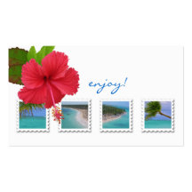 Tarjeta de visita del océano del hibisco del agent