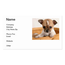 Tarjeta de visita del perrito de la chihuahua
