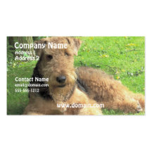 Tarjeta de visita del perro de Airedale Terrier