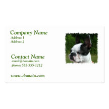 Tarjeta de visita del perro de Boston Terrier