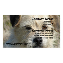 Tarjeta de visita del perro de Terrier de rata