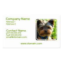 Tarjeta de visita del perro de Yorkshire Terrier
