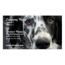 Tarjeta de visita del perro del organismo inglés
