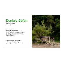 Tarjeta de visita del safari del burro