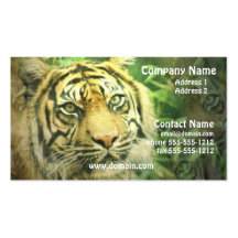 Tarjeta de visita del tigre siberiano